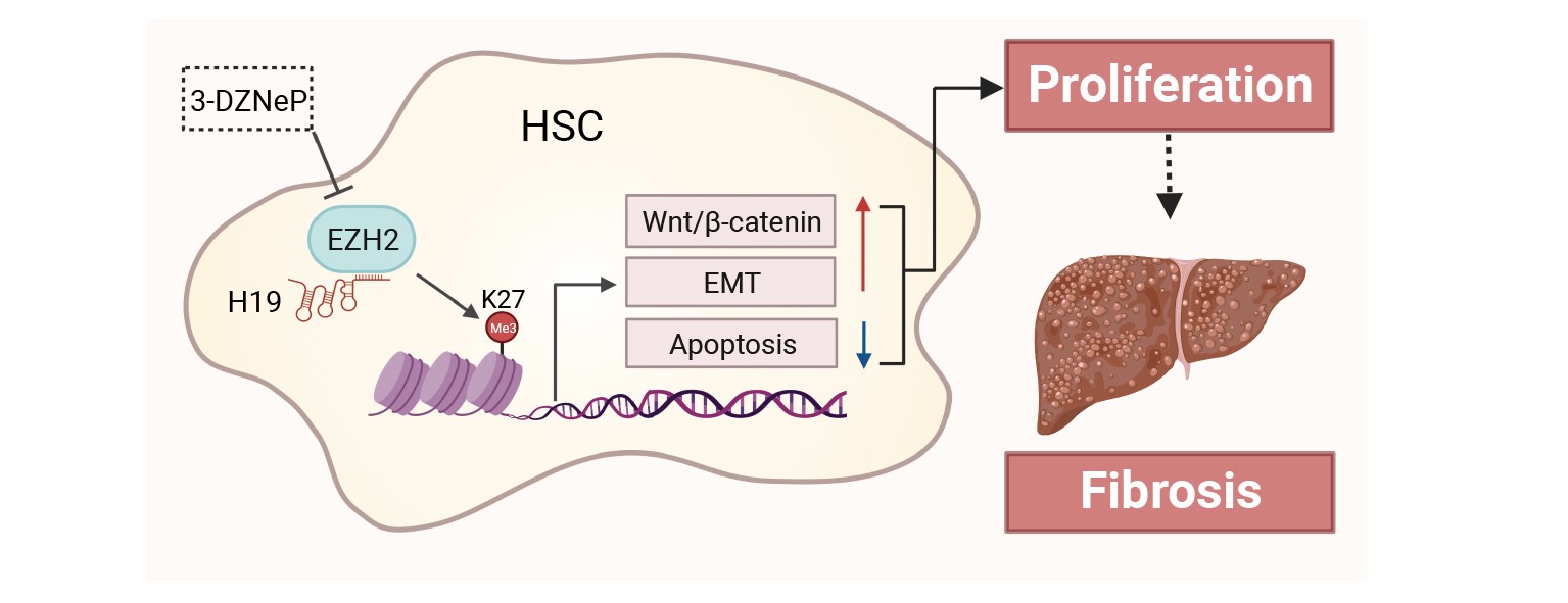 1693445916103073850.jpg 1693445916103073850.jpg