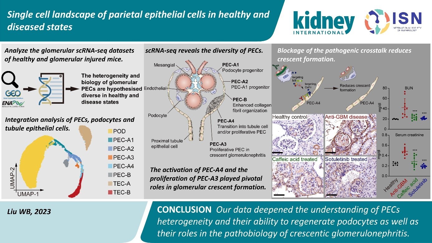 1682386335970028440.jpg 1682386335970028440.jpg