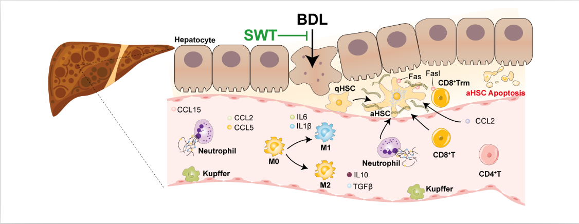 1666080088888021655.png 1666080088888021655.png